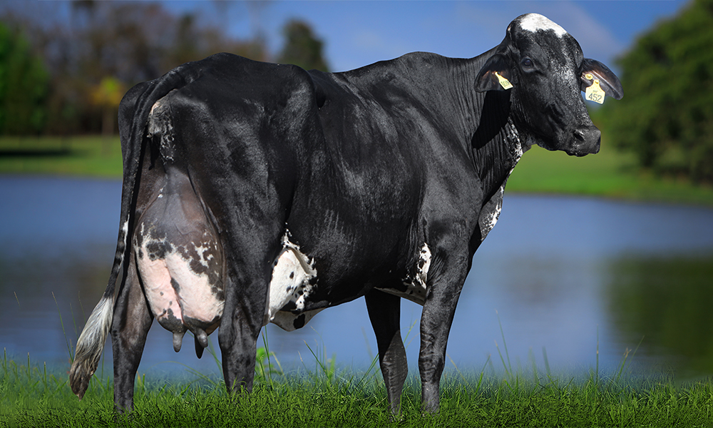 Lotérica FIV Cabo Verde